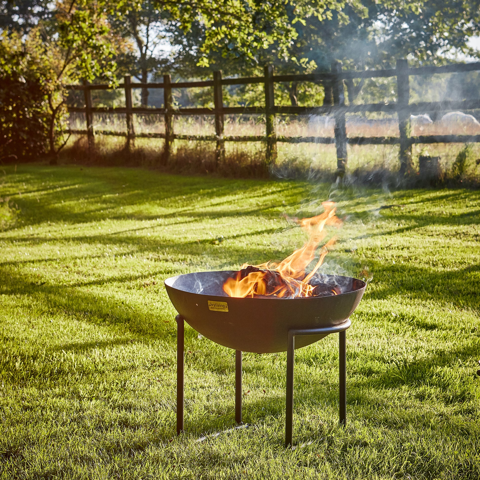 Outdoor Cast Iron Fire Pit on Stand in Rust by Ivyline - Mouse & Manor