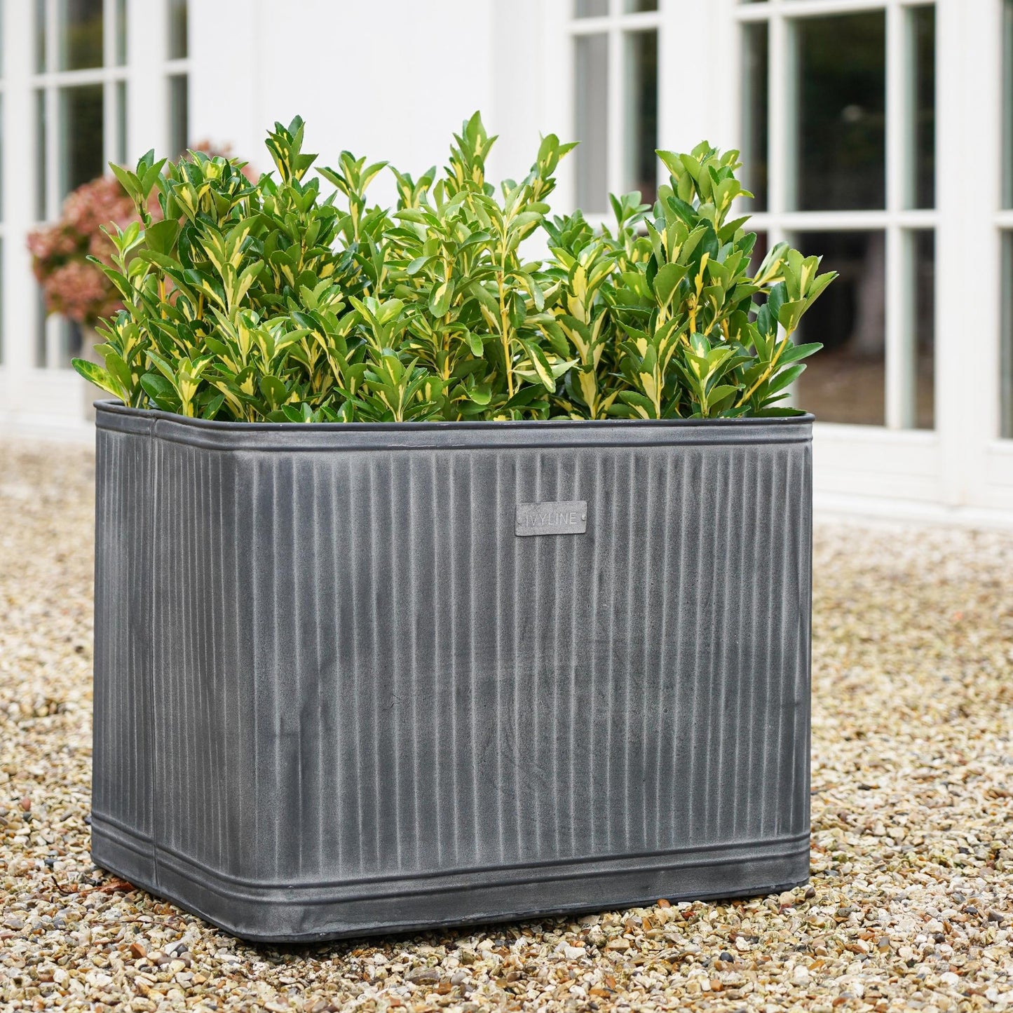 Hampton Galvanised Metal Planters by Ivyline - Mouse & Manor